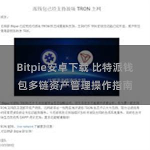 Bitpie安卓下载 比特派钱包多链资产管理操作指南