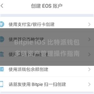 Bitpie iOS 比特派钱包多链资产管理操作指南