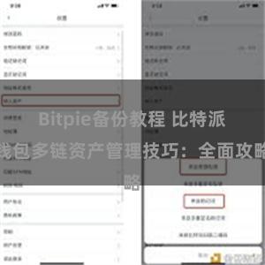 Bitpie备份教程 比特派钱包多链资产管理技巧：全面攻略