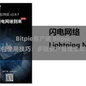 Bitpie客户端 Bitpie钱包使用技巧：多链资产管理全攻略