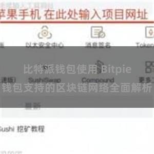 比特派钱包使用 Bitpie钱包支持的区块链网络全面解析