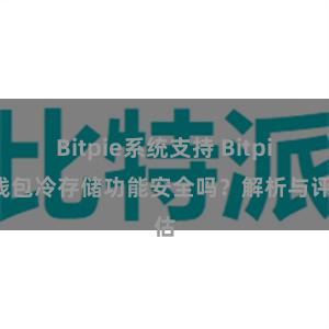 Bitpie系统支持 Bitpie钱包冷存储功能安全吗？解析与评估