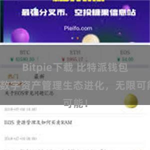 Bitpie下载 比特派钱包：数字资产管理生态进化，无限可能！