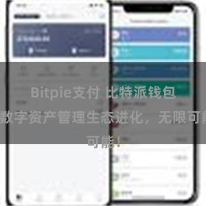 Bitpie支付 比特派钱包：数字资产管理生态进化，无限可能！