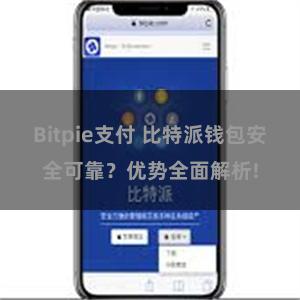 Bitpie支付 比特派钱包安全可靠？优势全面解析!