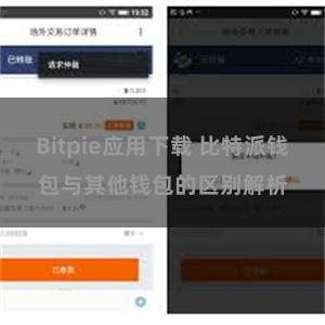 Bitpie应用下载 比特派钱包与其他钱包的区别解析