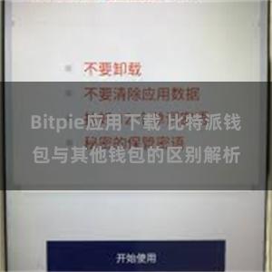 Bitpie应用下载 比特派钱包与其他钱包的区别解析