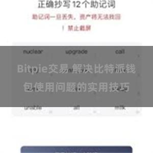 Bitpie交易 解决比特派钱包使用问题的实用技巧