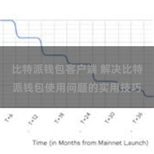 比特派钱包客户端 解决比特派钱包使用问题的实用技巧