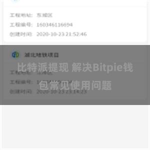 比特派提现 解决Bitpie钱包常见使用问题