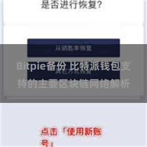 Bitpie备份 比特派钱包支持的主要区块链网络解析