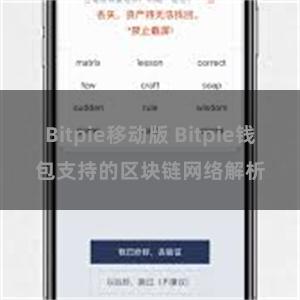 Bitpie移动版 Bitpie钱包支持的区块链网络解析