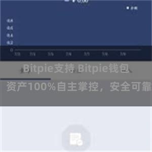 Bitpie支持 Bitpie钱包：资产100%自主掌控，安全可靠。