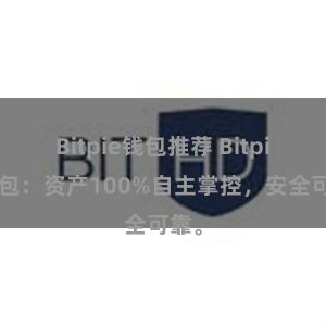 Bitpie钱包推荐 Bitpie钱包：资产100%自主掌控，安全可靠。