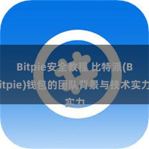 Bitpie安全教程 比特派(Bitpie)钱包的团队背景与技术实力