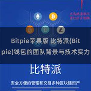 Bitpie苹果版 比特派(Bitpie)钱包的团队背景与技术实力