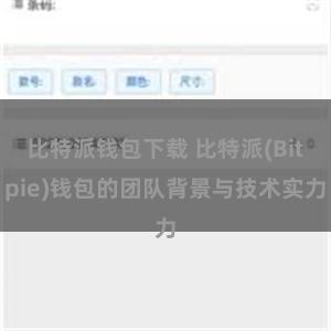 比特派钱包下载 比特派(Bitpie)钱包的团队背景与技术实力