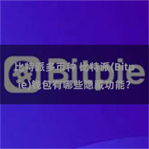 比特派多币种 比特派(Bitpie)钱包有哪些隐藏功能？