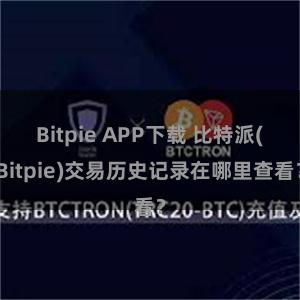 Bitpie APP下载 比特派(Bitpie)交易历史记录在哪里查看？