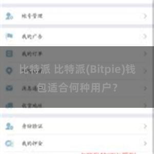 比特派 比特派(Bitpie)钱包适合何种用户？